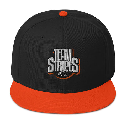 Team Stripes Snapback Hat